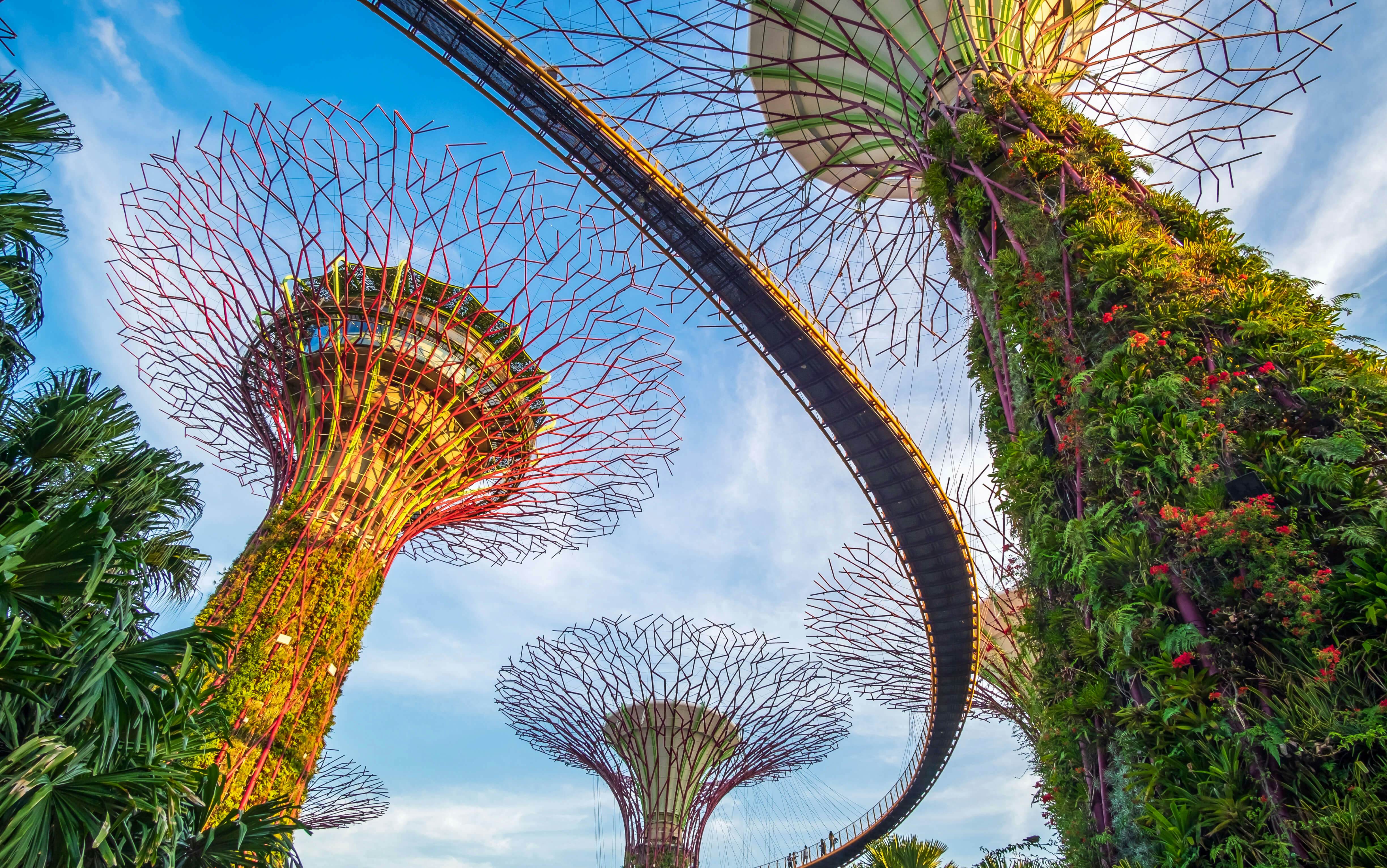 Voyager of the Seas: Singapore to Brisbane Adventure