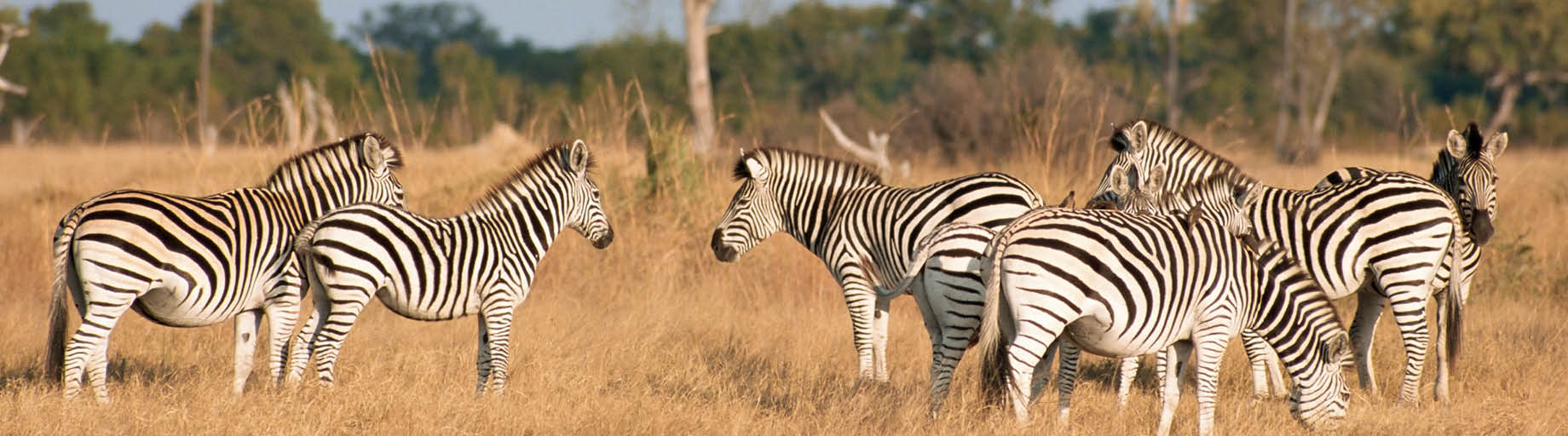 wonders-africa-nov-2025.jpg