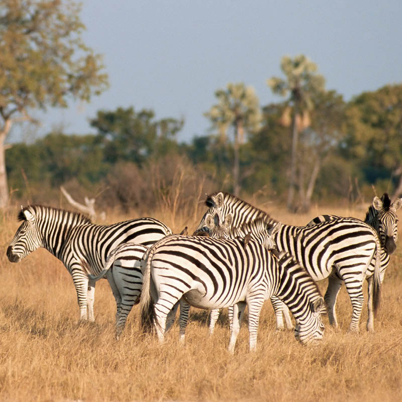 wonders-africa-nov-2025-1-thumb.jpg