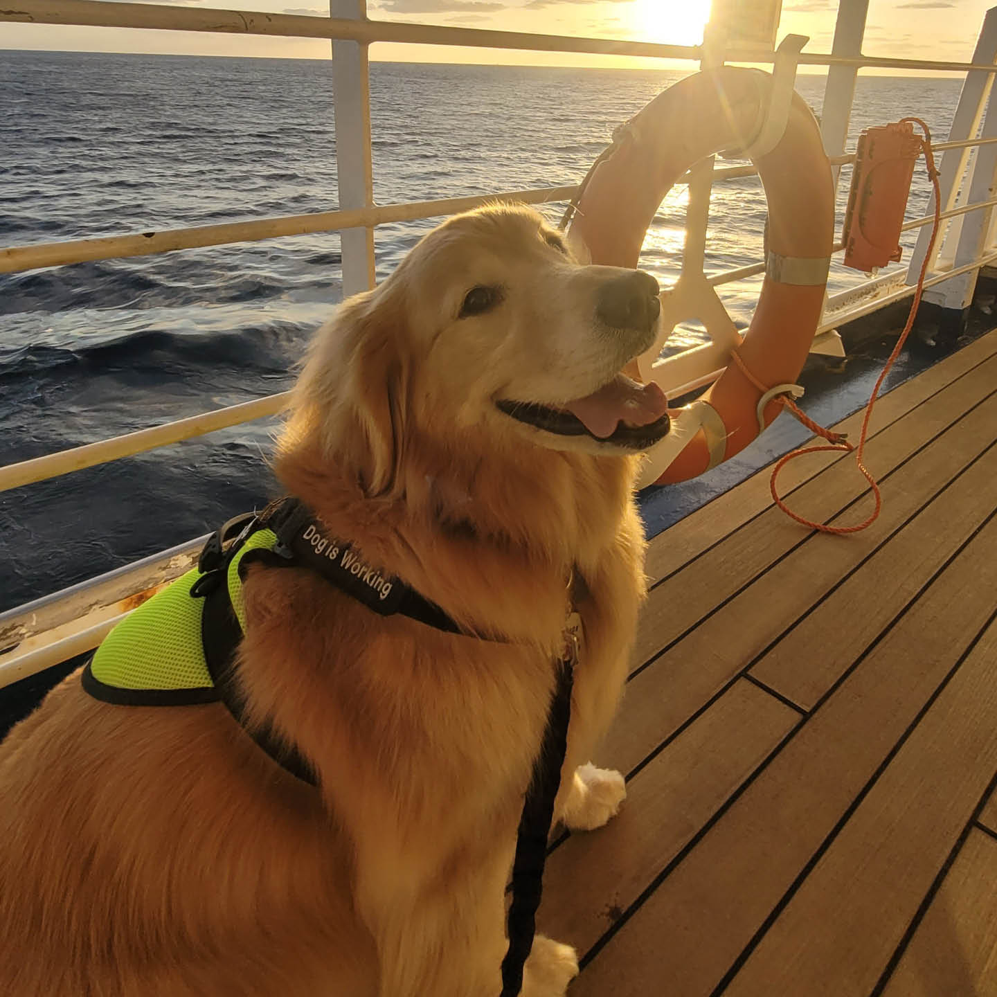 Accessible Cruising Guide
