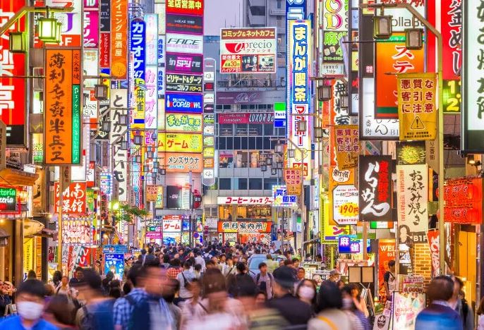 13 Day Cherry Blossoms Of Japan