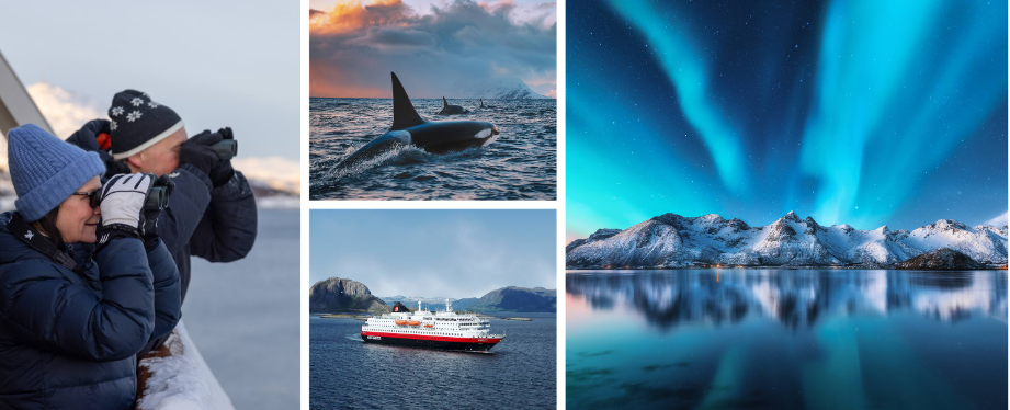 Northern Lights Voyage with Bergen & Oslo