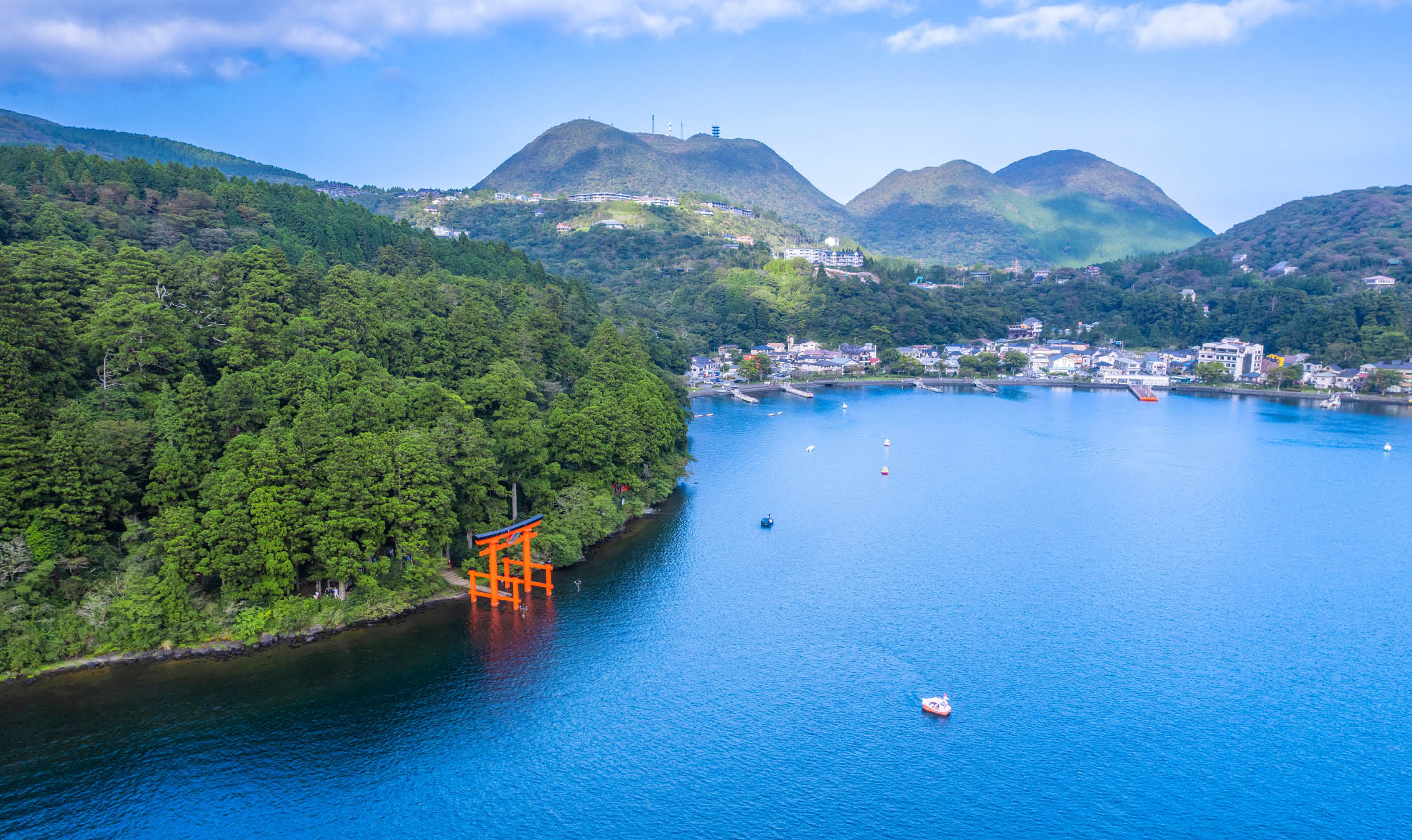 Japan Discovery & Cosmos Flowers Voyage