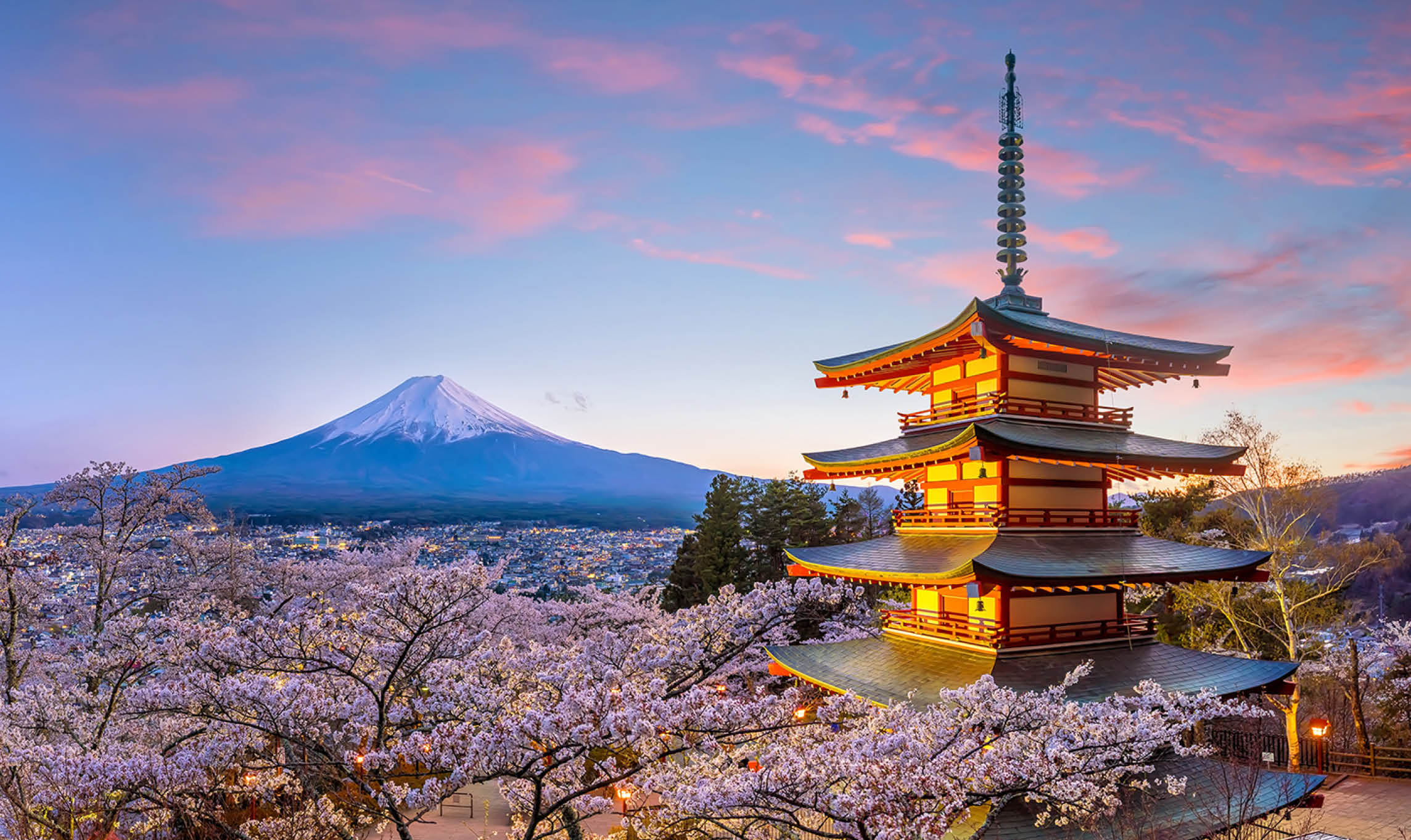13 Day Cherry Blossoms Of Japan