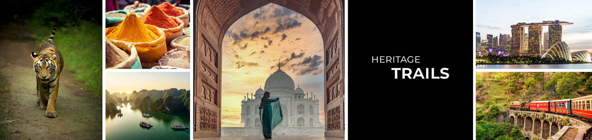 Himalayas, Golden Triangle & Silversea Voyage