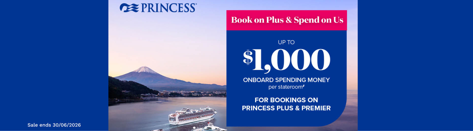 princess-sale.jpg (2)