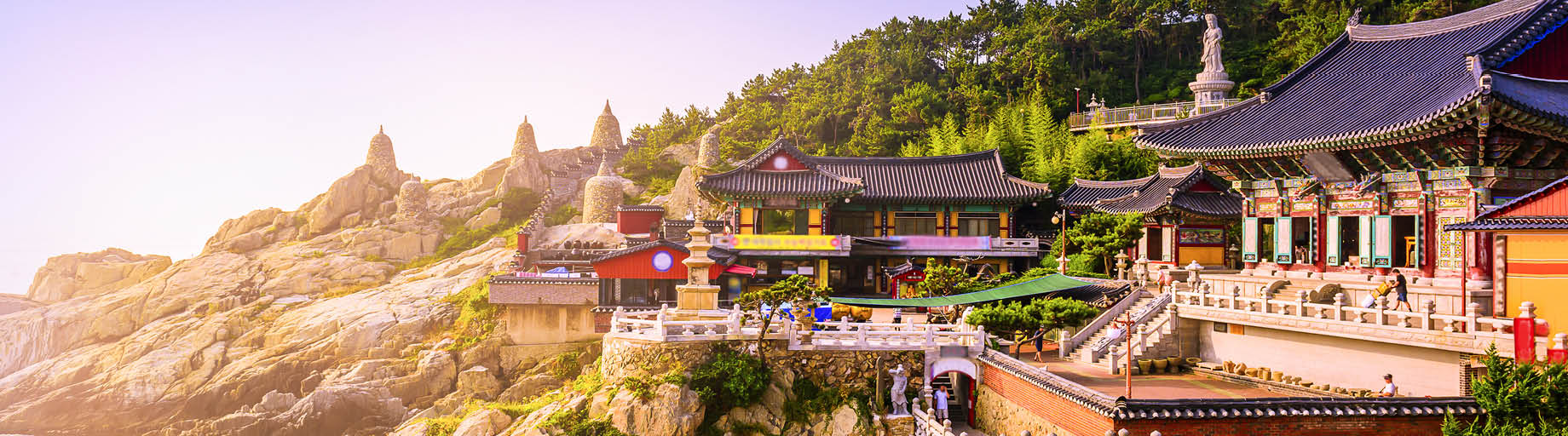 Singapore to Japan Cruise